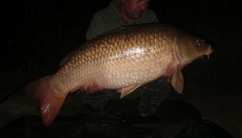 A 35 lb carp from Jonchery, Scott Clark, Aug 2019