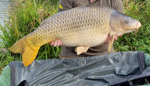 A 48 lb 8 oz fish from Jonchery, Common, Sep 2022