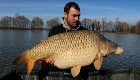 A carp from Jonchery, Mar 2018