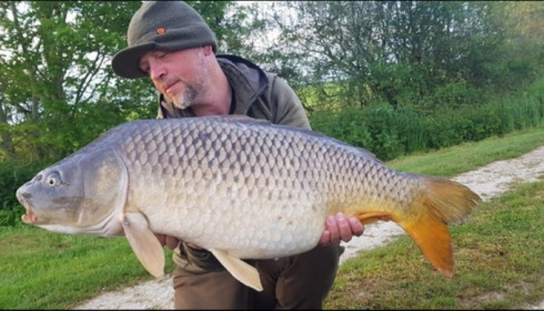 A carp from Jonchery, May 2019