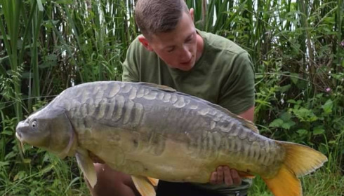 A carp from Jonchery, May 2018