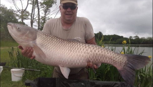 A carp from Jonchery, May 2019