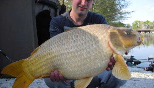 A carp from Jonchery, Swim 4, Apr 2014