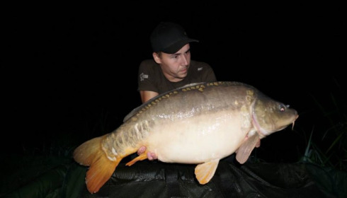 A carp from Jonchery, Oct 2014