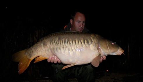 A carp from Jonchery, Oct 2014