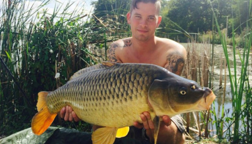 A carp from Jonchery, Sep 2014