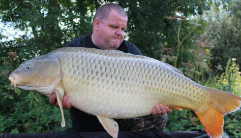 A carp from Jonchery, Sep 2017
