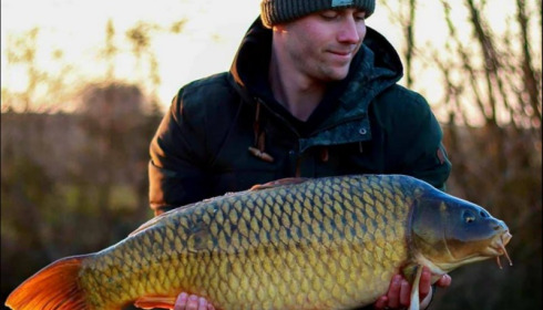 A carp from Jonchery, Mar 2019