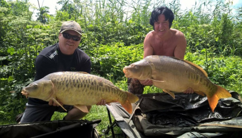 A carp from Jonchery, Jul 2017