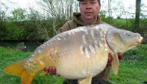 A carp from Jonchery, Apr 2014