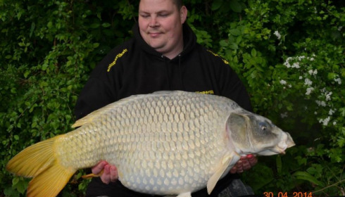 A carp from Jonchery, Swim 6, May 2014