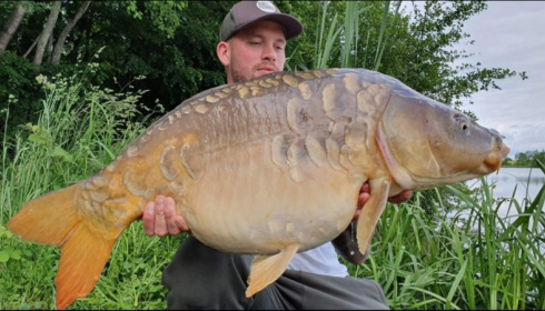 A carp from Jonchery, Jul 2019