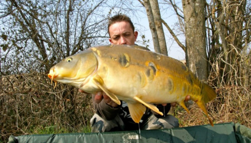 A carp from Jonchery, Apr 2013