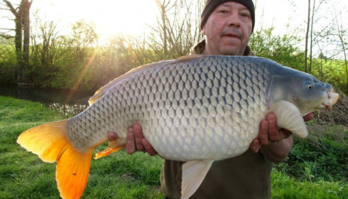 A carp from Jonchery, Apr 2014