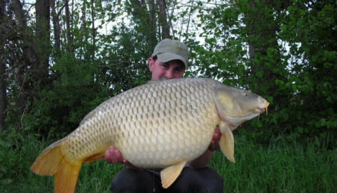 A carp from Jonchery, Swim 4, Apr 2014
