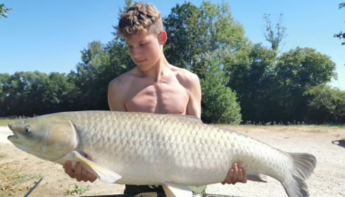 A carp from Jonchery, Aug 2022