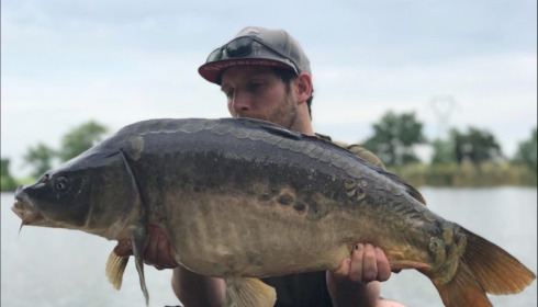 A carp from Jonchery, Owain Rees, Jun 2019