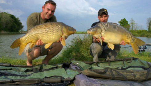 A carp from Jonchery, Apr 2014