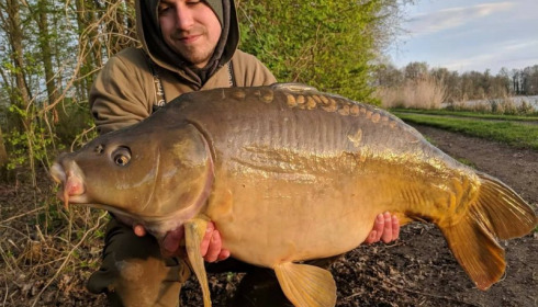 A carp from Jonchery, Apr 2018