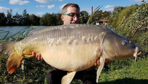 A carp from Jonchery, Oct 2017