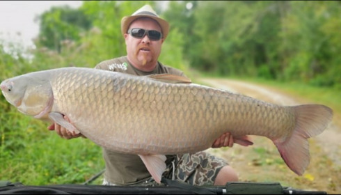 A 72 lb grass carp from Jonchery, Jul 2019