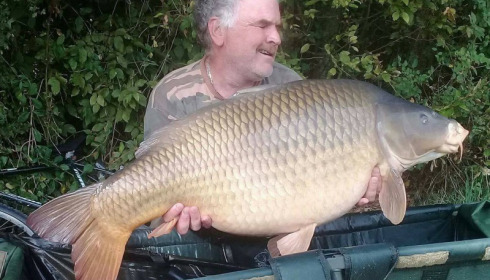 A carp from Jonchery, Sep 2017