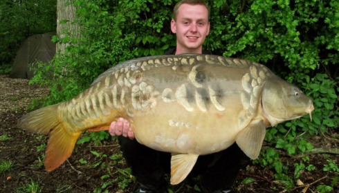 A carp from Jonchery, Jul 2012