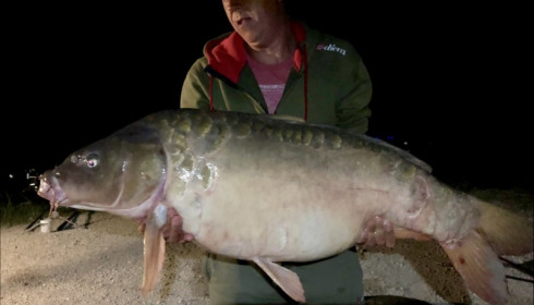 A 50 lb 4 oz carp from Jonchery, Tony Richards, Sep 2019
