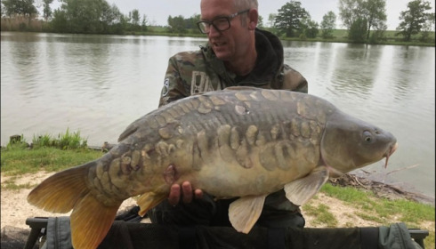 A carp from Jonchery, May 2019