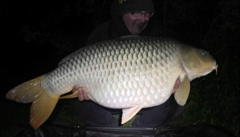 A carp from Jonchery, May 2019