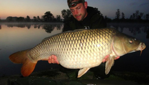 A carp from Jonchery, Jul 2014
