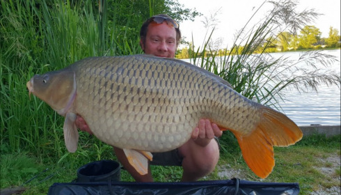 A carp from Jonchery, Jun 2018