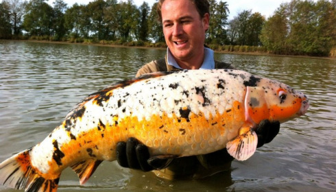 A carp from Jonchery, Nov 2012