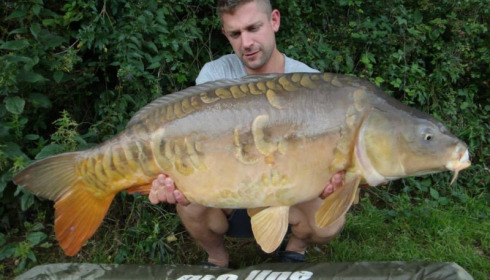 A carp from Jonchery, Jul 2014