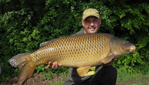 A carp from Jonchery, May 2015
