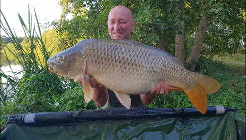A carp from Jonchery, Aug 2018