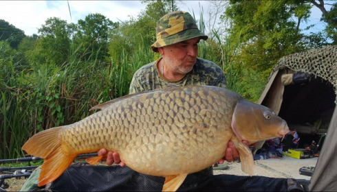A carp from Jonchery, Aug 2018