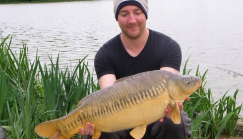 A carp from Jonchery, May 2013