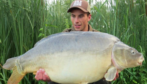A carp from Jonchery, Jun 2013