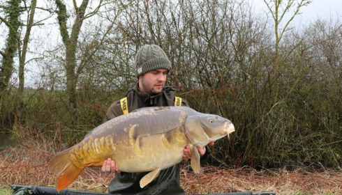 A carp from Jonchery, Mar 2018