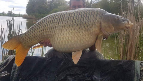 A 52 lb 8 oz carp from Jonchery, Anthony Dickens, Apr 2017