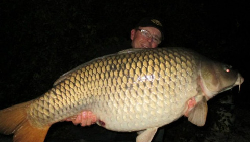 A carp from Jonchery, Sep 2014
