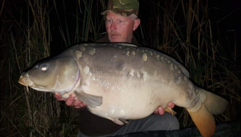 A carp from Jonchery, Oct 2018