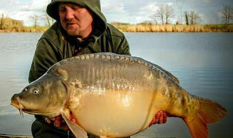 A 46 lb carp from Jonchery, Dave, Feb 2016