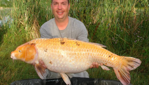 A carp from Jonchery, Jul 2014