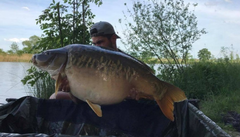 A carp from Jonchery, May 2017