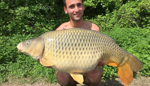 A carp from Jonchery, May 2018