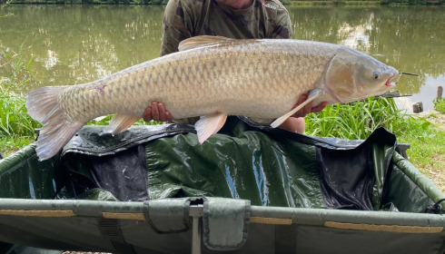A 44 lb 8 oz fish from Jonchery, Grassy, Aug 2022