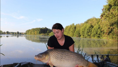 A carp from Jonchery, Aug 2019