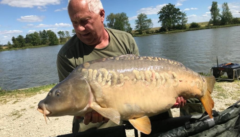 A carp from Jonchery, Jun 2022